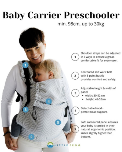 Little Frog XL Toddler Carrier Power of Wind